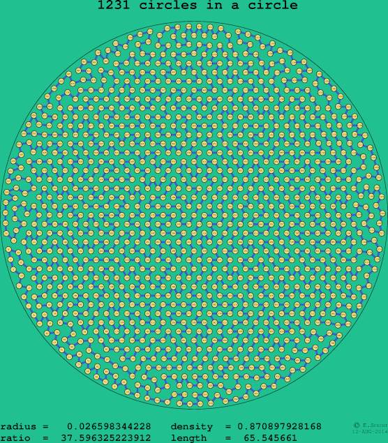 1231 circles in a circle