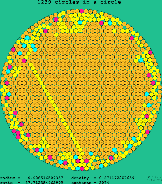 1239 circles in a circle