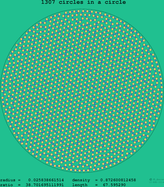 1307 circles in a circle