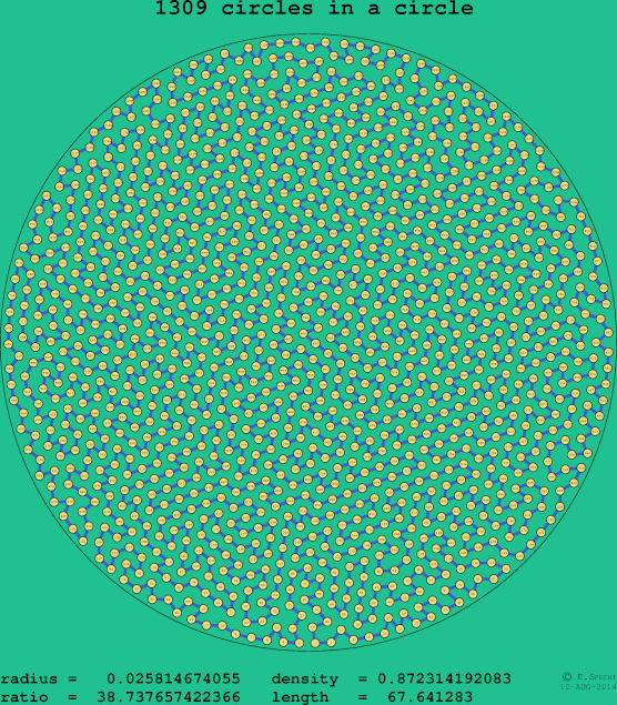 1309 circles in a circle