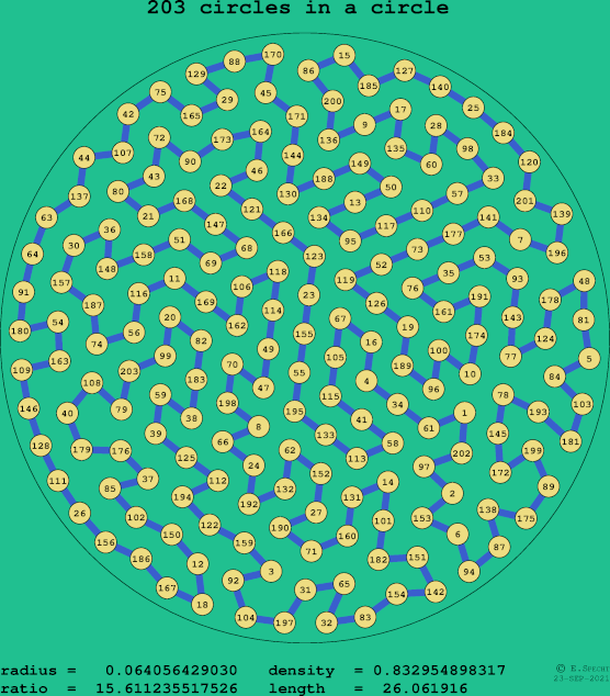 203 circles in a circle
