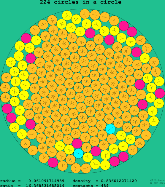 224 circles in a circle