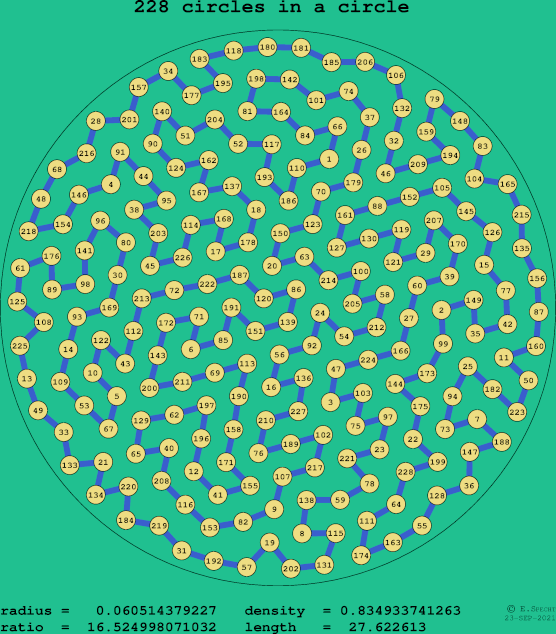 228 circles in a circle