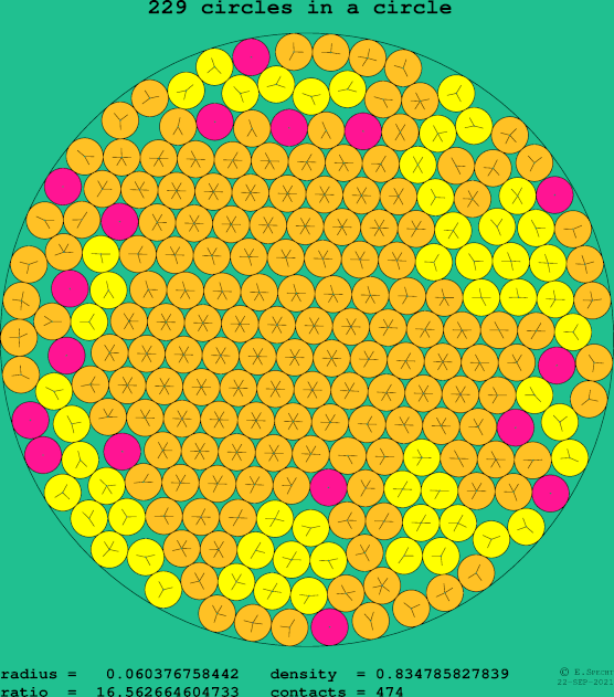 229 circles in a circle