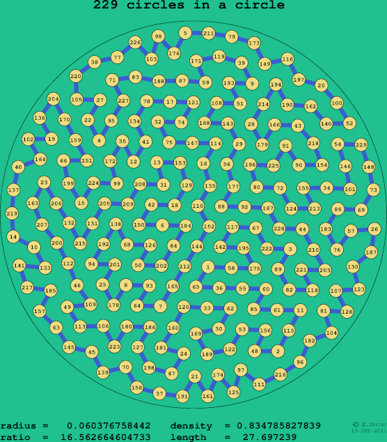 229 circles in a circle