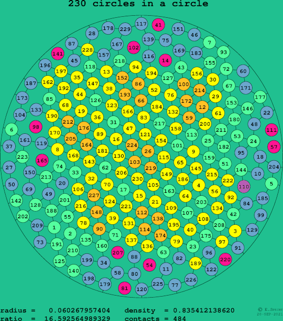 230 circles in a circle