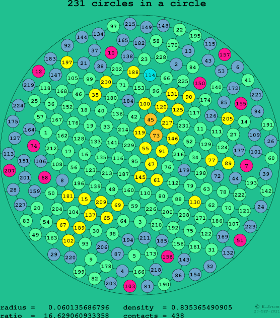 231 circles in a circle