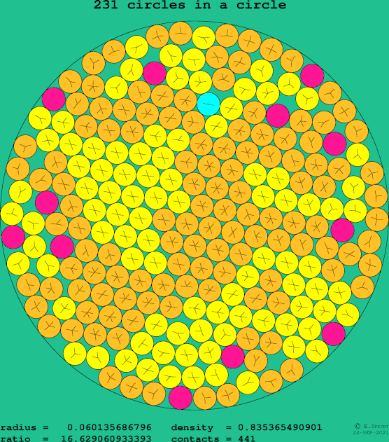 231 circles in a circle