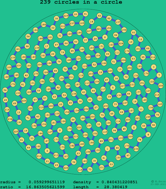 239 circles in a circle