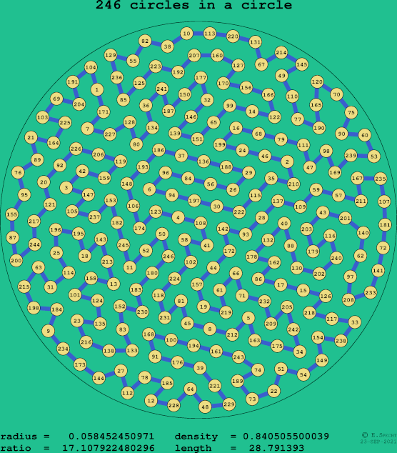 246 circles in a circle