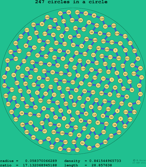 247 circles in a circle