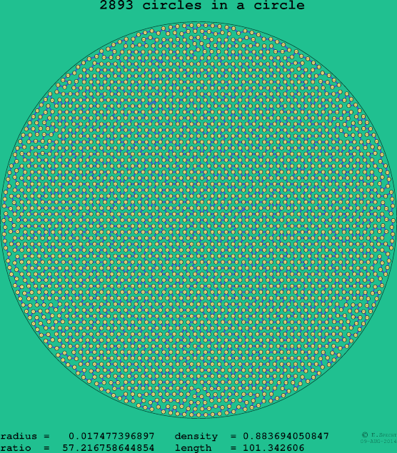 2893 circles in a circle
