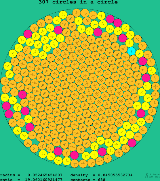 307 circles in a circle