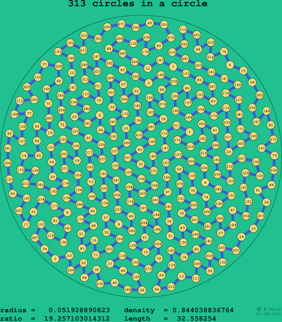 313 circles in a circle