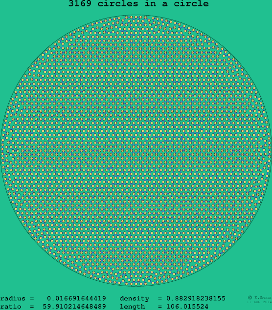 3169 circles in a circle