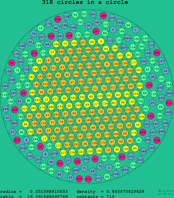 318 circles in a circle