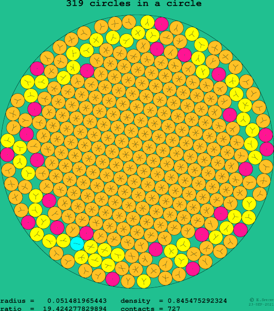 319 circles in a circle