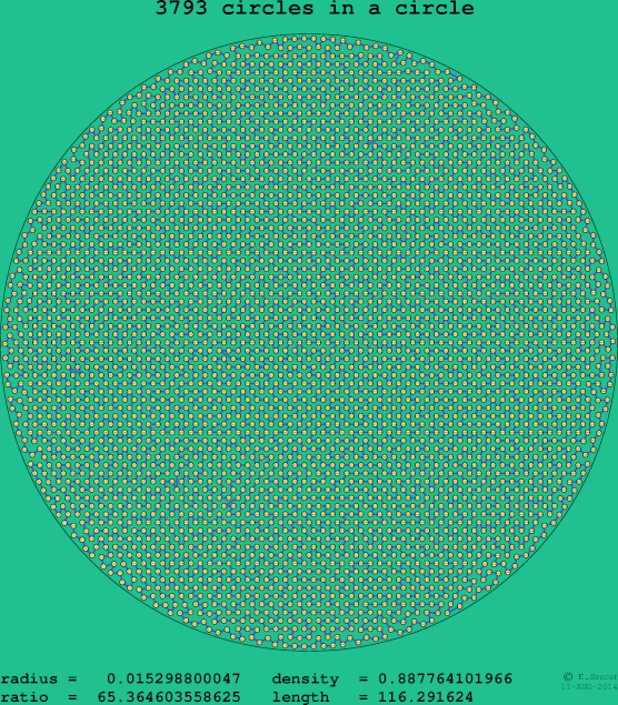 3793 circles in a circle