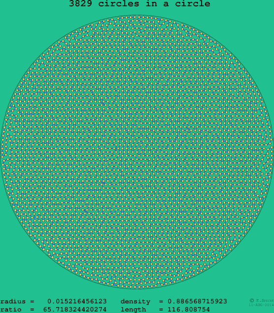 3829 circles in a circle