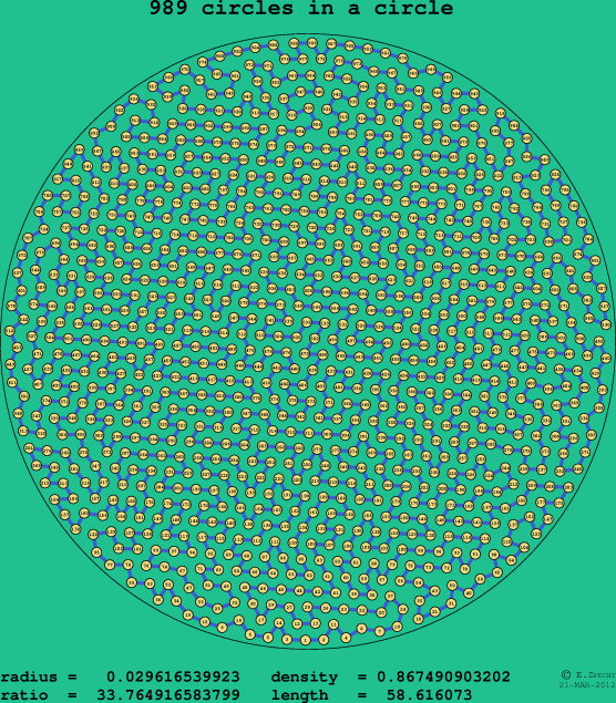 989 circles in a circle