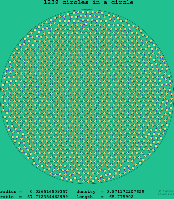 1239 circles in a circle