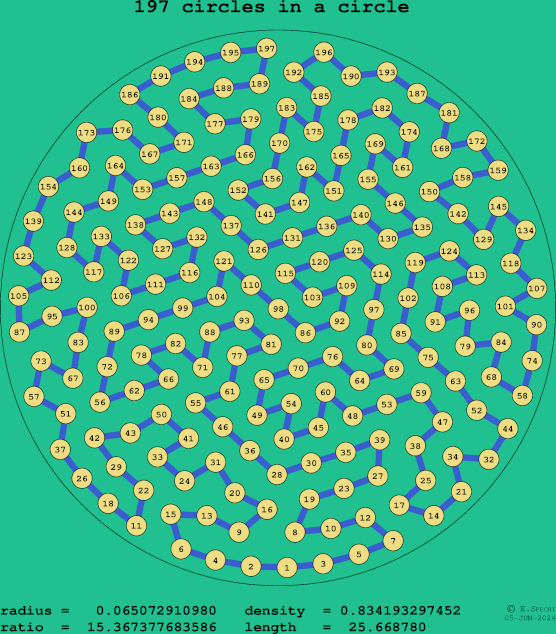 197 circles in a circle