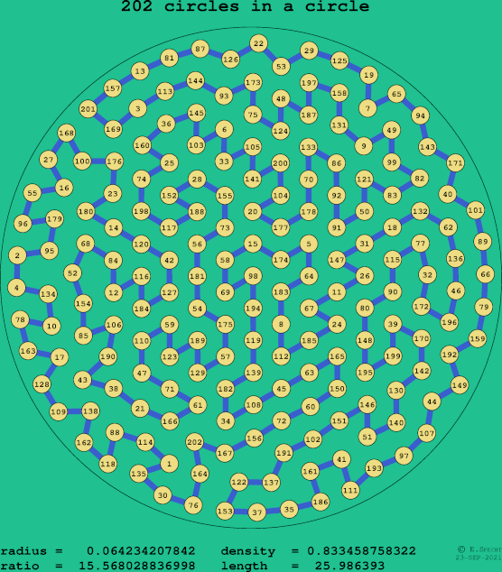 202 circles in a circle