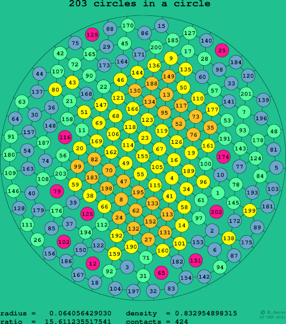 203 circles in a circle