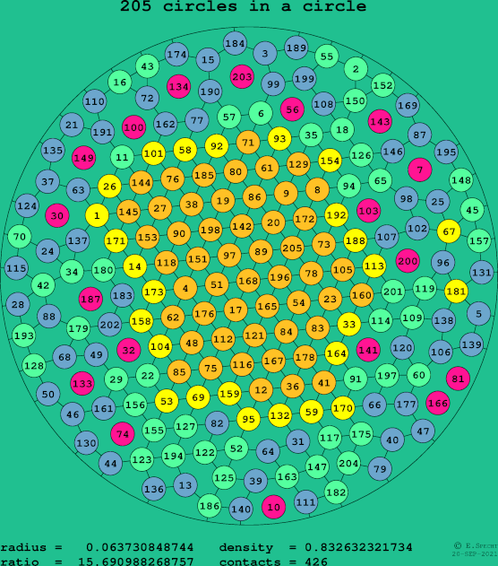 205 circles in a circle