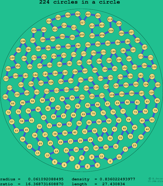 224 circles in a circle