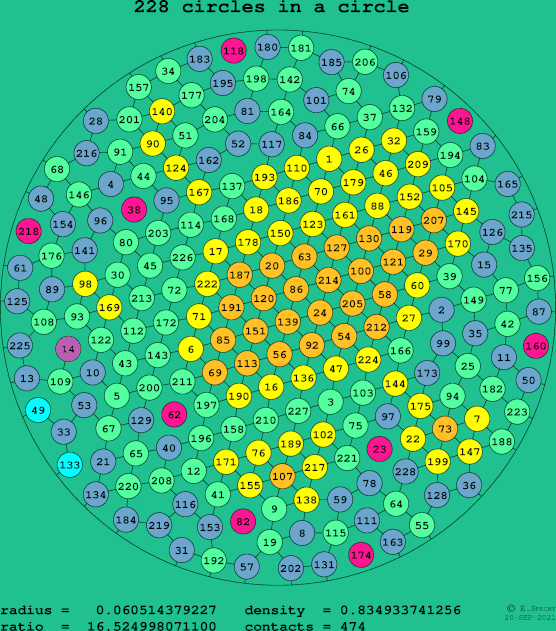 228 circles in a circle