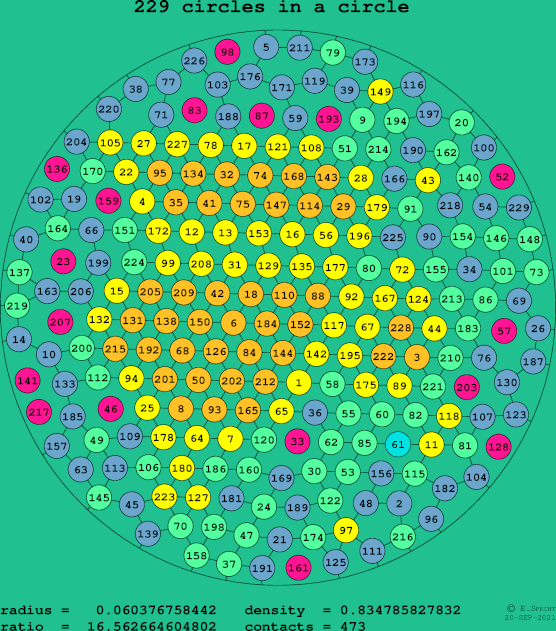 229 circles in a circle