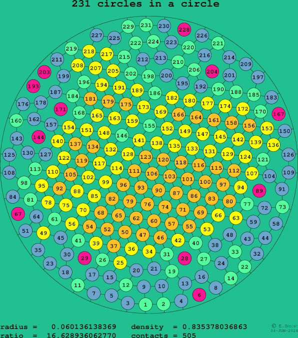 231 circles in a circle