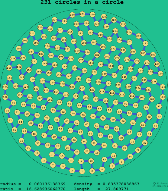 231 circles in a circle