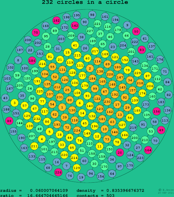 232 circles in a circle