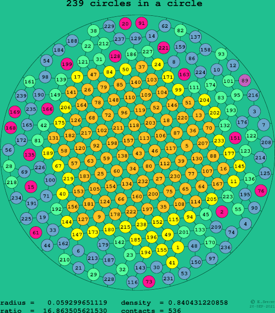 239 circles in a circle