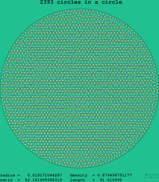 2393 circles in a circle