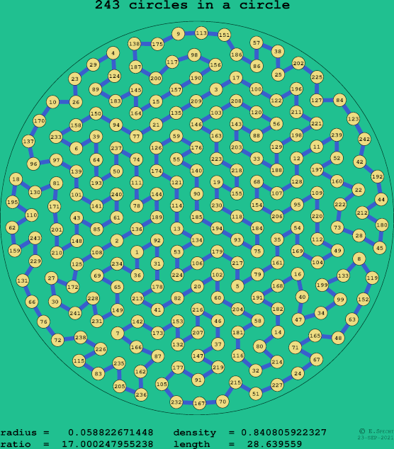 243 circles in a circle