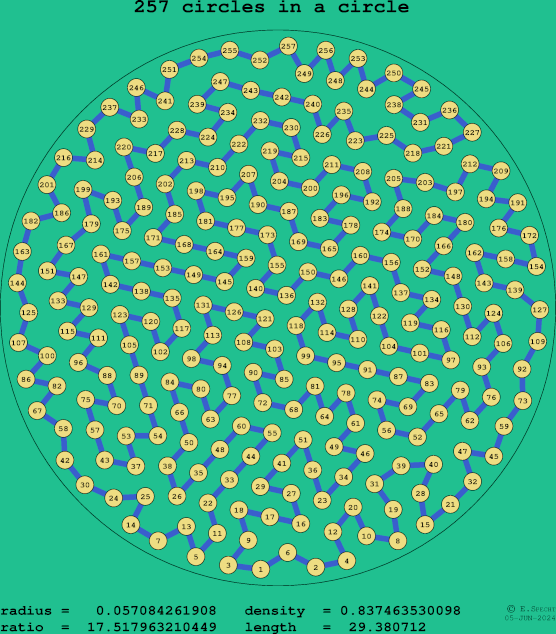 257 circles in a circle