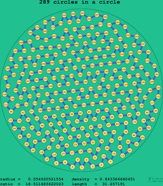 289 circles in a circle