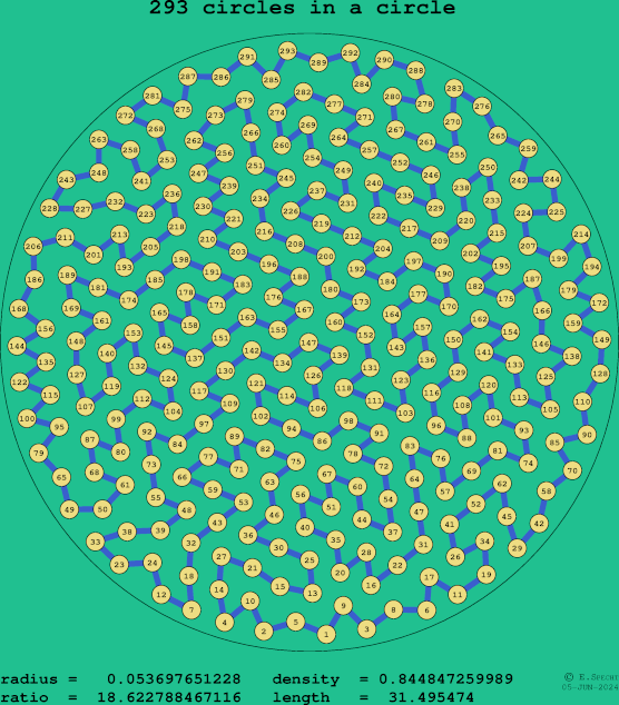 293 circles in a circle