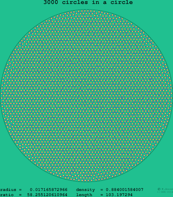 3000 circles in a circle