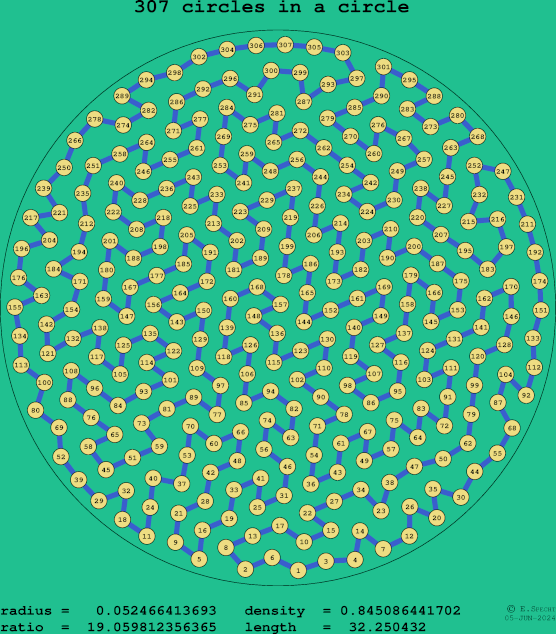 307 circles in a circle