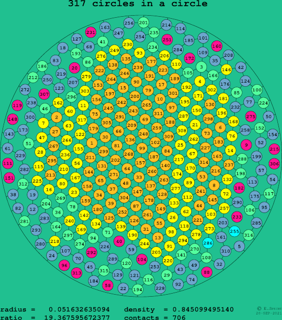 317 circles in a circle