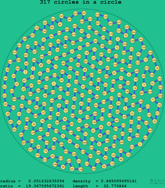 317 circles in a circle