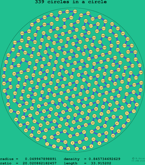 339 circles in a circle