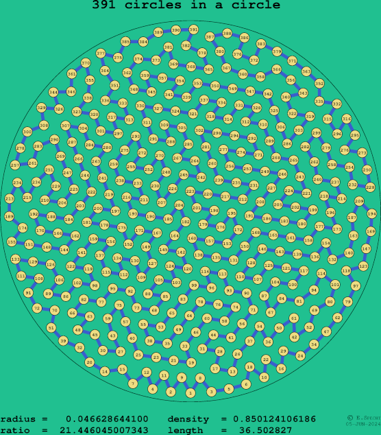 391 circles in a circle