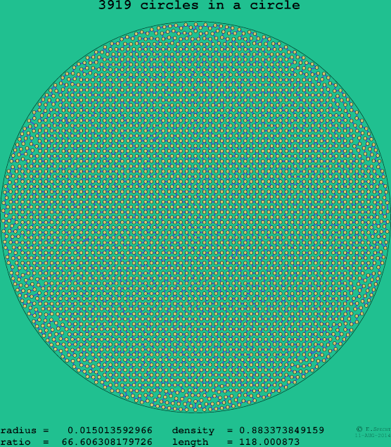 3919 circles in a circle