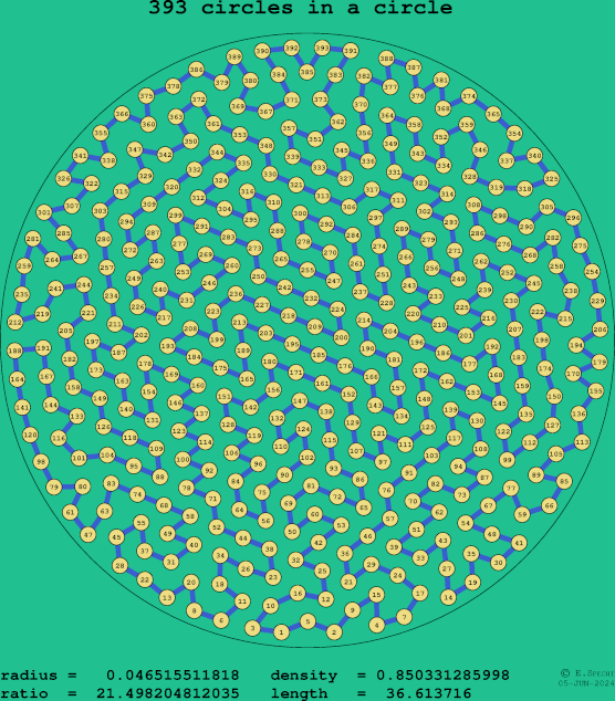 393 circles in a circle