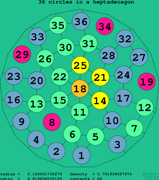36 circles in a regular heptadecagon